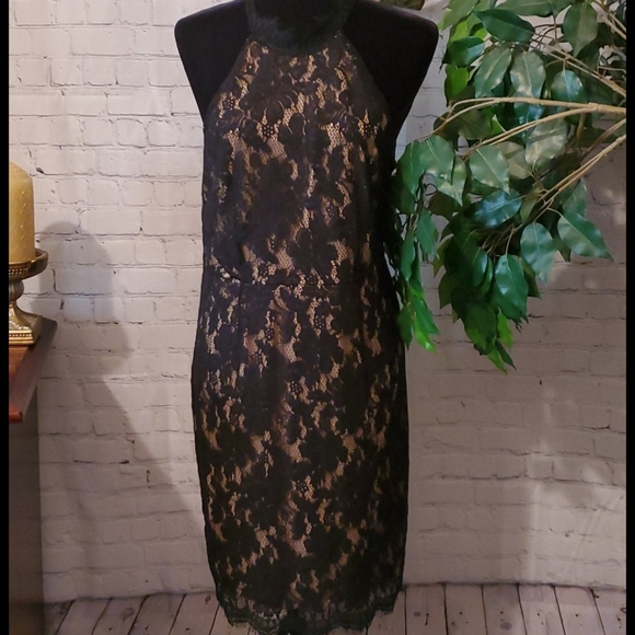 peplum dress with lace top Selah Off Shoulder Peplum Dress – Tadashi Shoji Official Online Boutique main image 1